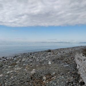 Meet your Posher, Aditi